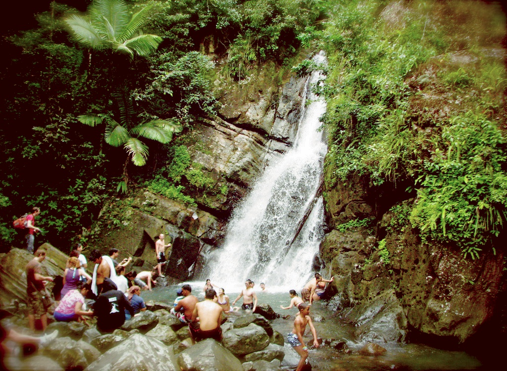 Pasar el da en el Bosque Nacional El Yunque | Iberia Joven